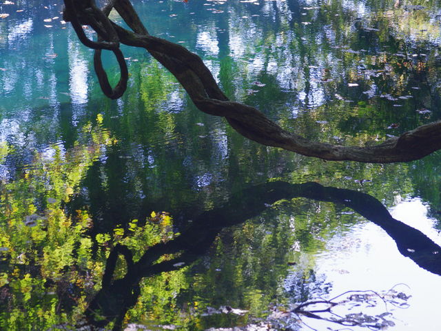 ߂čsĂ݂܂BVA̃^C~OΐiP_ےrl