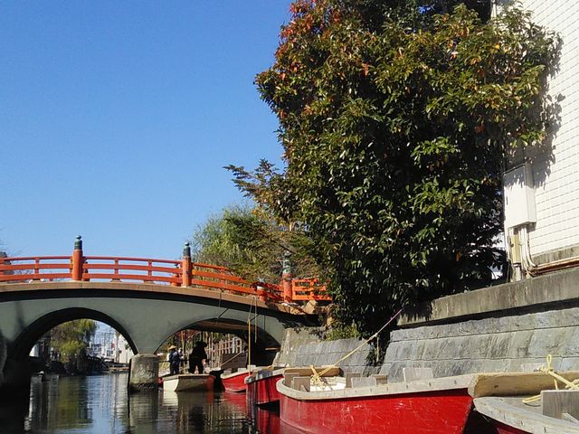 ���V�C���Y�킾����_��������ό�