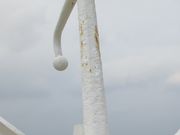 񂳂̃VFgT}[i][g̓eʐ^1