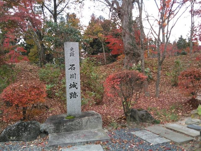 �Δ�_�O������