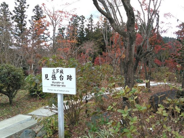 ������_�O������