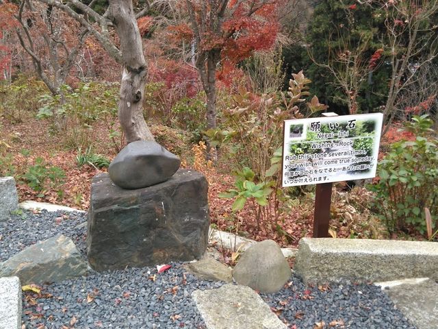 �肢��_�O������