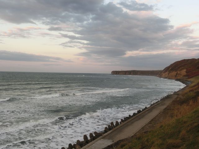 ���̐������_�\�斦�C��