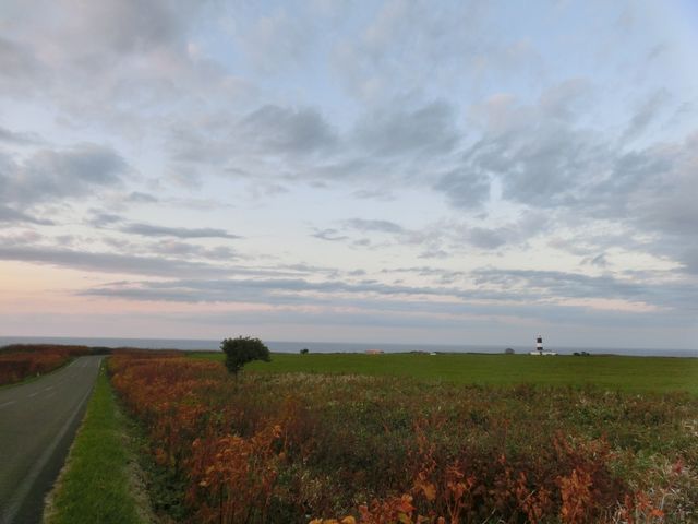 �Ő��̌������ɓ���_�\�斦�C��