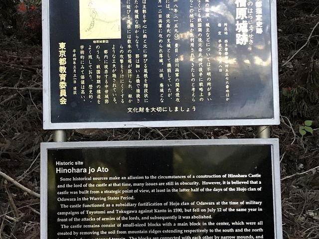 �R���̎n�_�ɂ���Ŕ�_�O�����