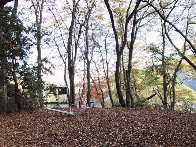 �w�����_�O�����