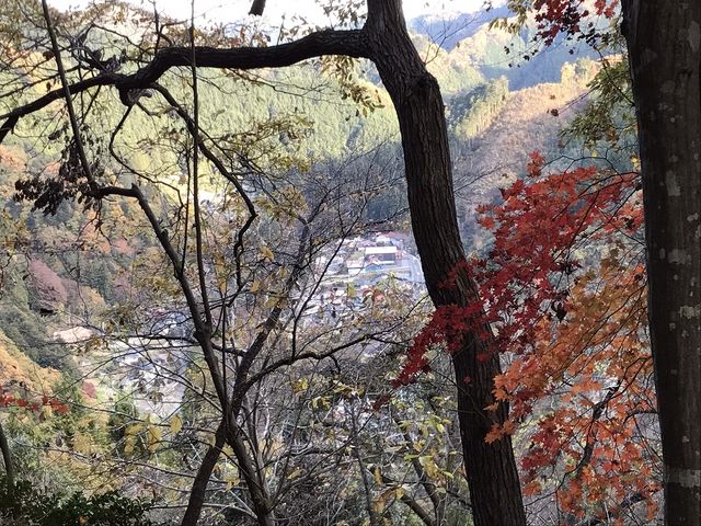 ��Ղ��猩����i�F_�O�����