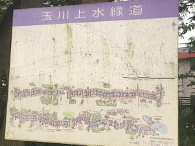 �q���ߕӂł��B_�ʐ�㐅�Γ�