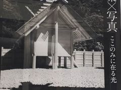 ݂̓sʐ^pقւ̓eʐ^1