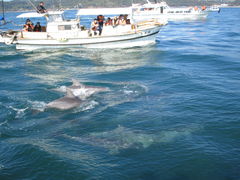 midtown����̃C���J�E�H�b�`���O�i���̉w �V���s�C���J�Z���^�[�j�ւ̓��e�ʐ^1