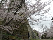 kiyohiko85jp̖Ό̓eʐ^1