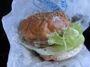 ܂܂ς񂾂̖kY̓eʐ^1