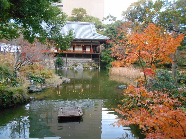 ���q�뉀_���q��뉀