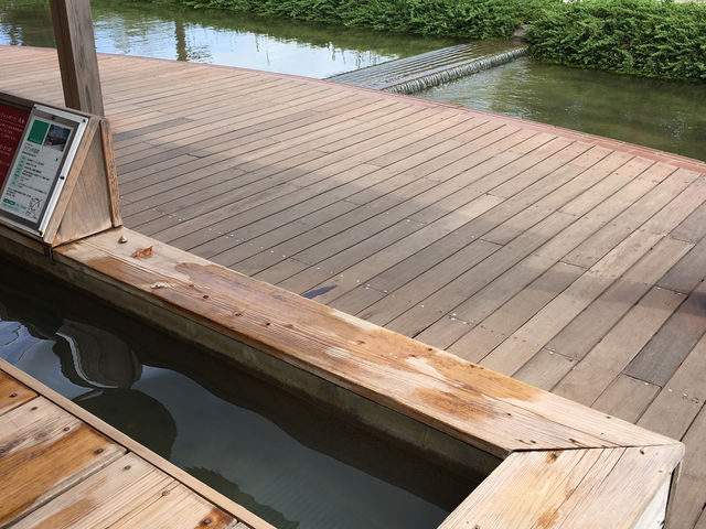 �h���t�B���|�[�g�̑���_�h���t�B���|�[�g