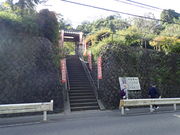 �}�C�a�n�n����̉~�����̓��e�ʐ^1