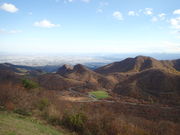 }Cann̐YR̍gt̓eʐ^1