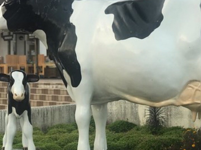 �C�̑�_���̉w ���̍������΂�