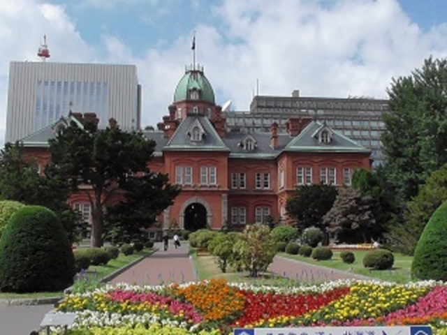 ������_�k�C�������{����(�Ԃ�񂪒���)