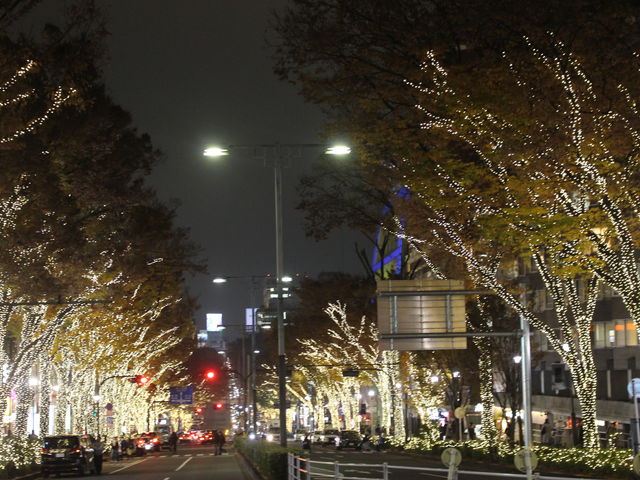 ���h�w�O����̕\�Q���̃C���~�l�[�V����_�i�q���h�w