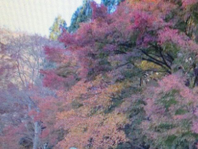 �g�t_�ڗ����@