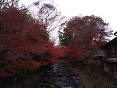 񂴂񂳂̌jւ̓eʐ^1