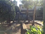 �Ё[����񂳂�̗ю���n�̓��e�ʐ^3