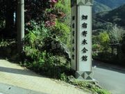 Ⴝ낤̔h؉ق̓eʐ^1