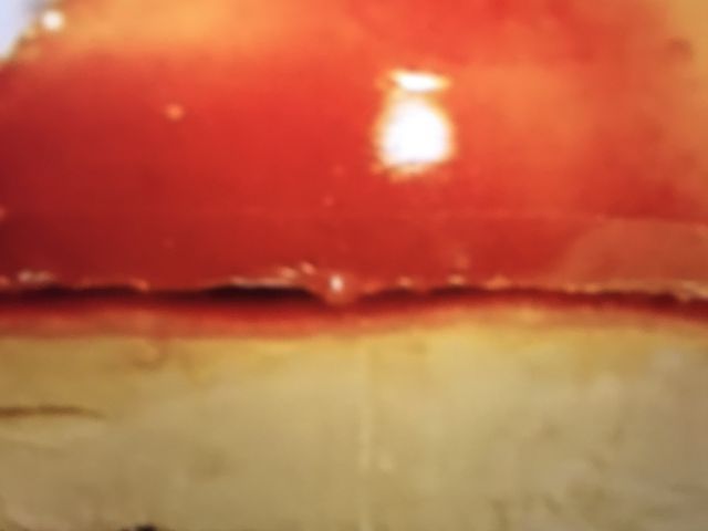 }񂳂̃hg[R[q[Vbv ߓSߋwvdrsX̓eʐ^1