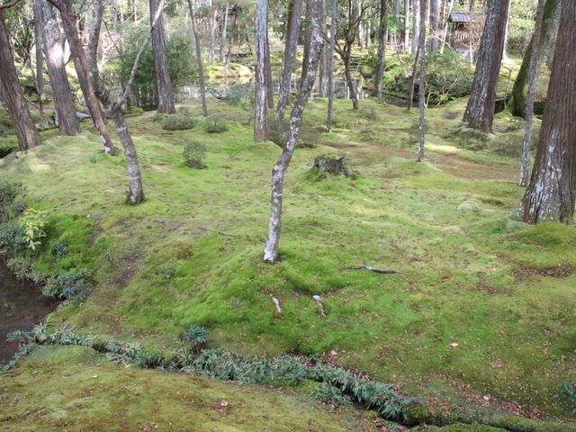 �ʐ��E�̂悤�ł�_���F��