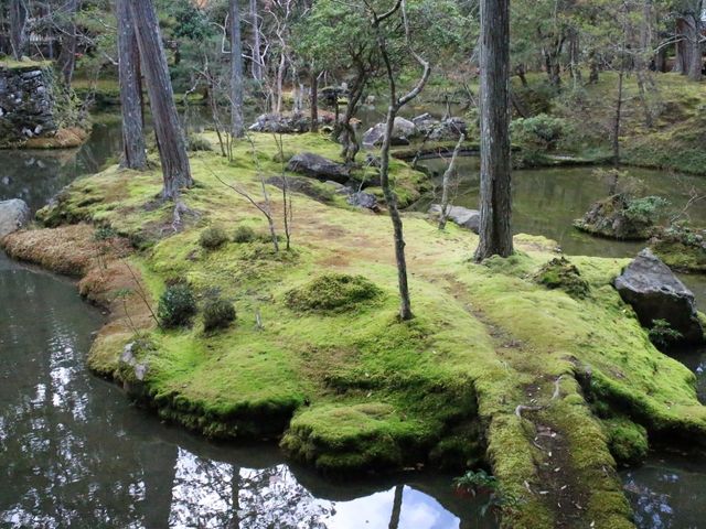 �ۂ̎�ނ����������ł�_���F��