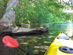 [̏\ac΃p[X|bgN[Yւ̓eʐ^1