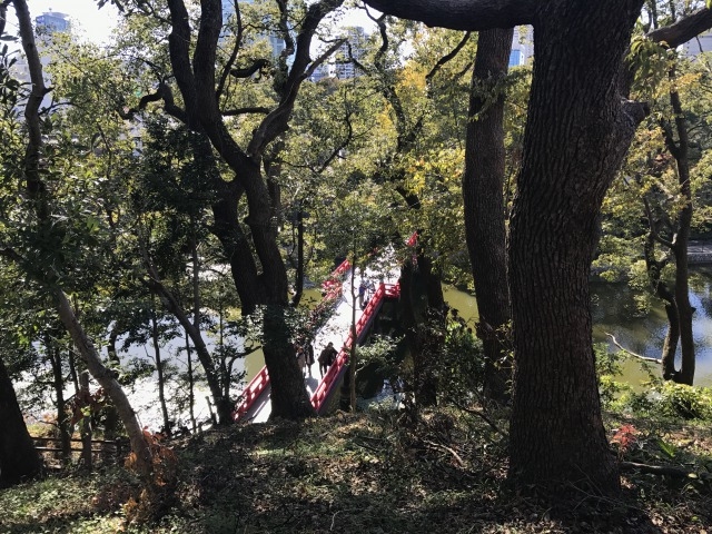 �ォ�猩����_���P�R