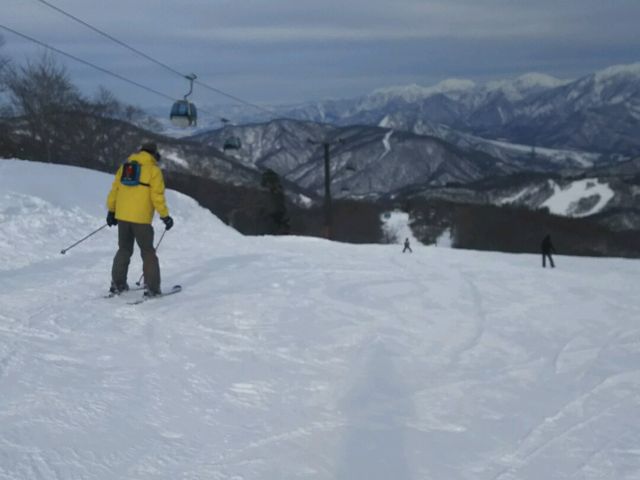 �S���h���R�[�X_������X�L�[��