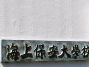 �e�c��������̊C��ۈ������ق̓��e�ʐ^1