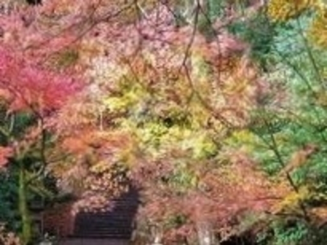 ~W΁EEEԐF̃Of[V_zK_