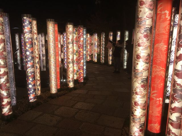 �ʐ^�A_�L���m�t�H���X�g