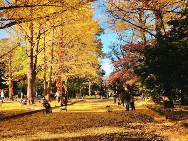 �H�̋��_�k�C����w