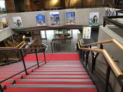 higu����̔��n�ܗ��G�X�J���v���U�ւ̓��e�ʐ^1