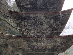 金剛院 京都府舞鶴市 の口コミ一覧 じゃらんnet