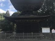 ����������̉ԉ������{�̓��e�ʐ^2