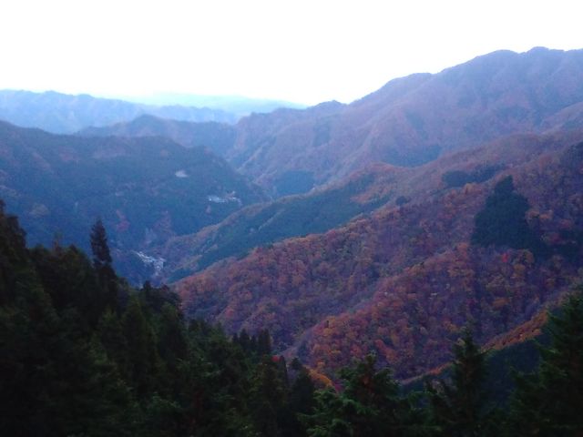 �f���炵���ł�_�O��R�i��ʌ������s�j