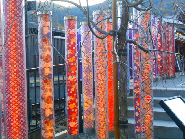 ���R�w�ɂ���܂�
_�L���m�t�H���X�g