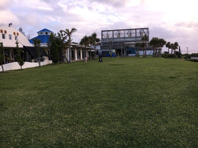 �L���łɐ��C�����ꂢ�Ń��P�[�V�������ō��ł����I�I_RYUKYU GLASS WORKS �C��