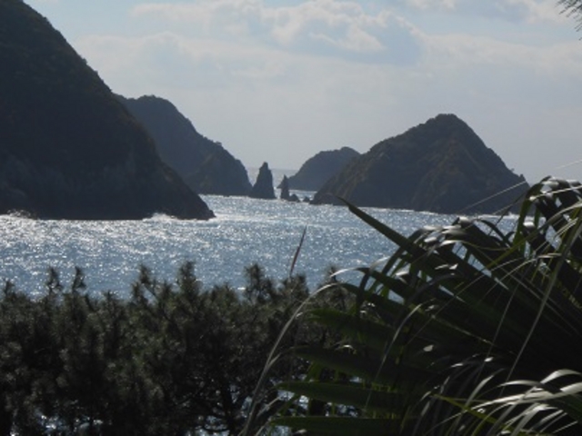 �P�ÊٓW�]�����猩����o����_�o����