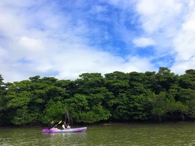 2΂̑q͑ŌŒ肵ď܂B_CHORO