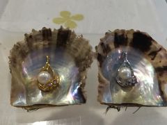 laskal̐^삾̌@a{^Xւ̓eʐ^1