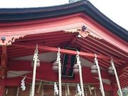 񂿂񂳂̏Zg_Дqa̓eʐ^1