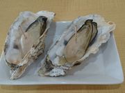 ꂨ񂳂݂̂̂ɒB@jق̓eʐ^4