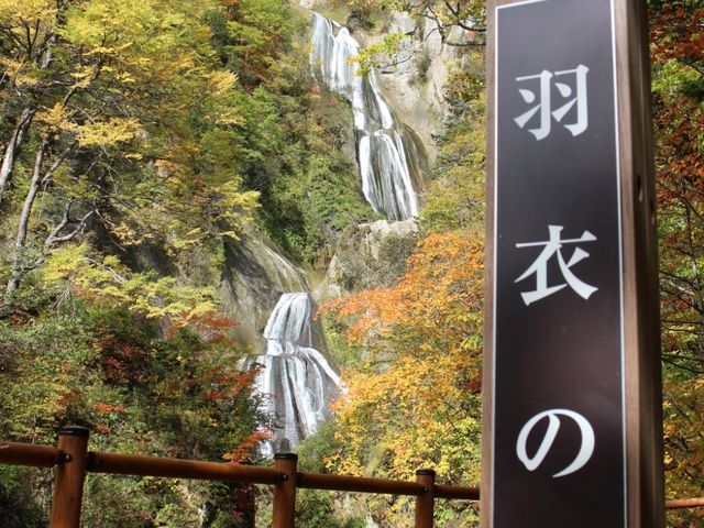 �H�߂̑�_�H�߂̑�