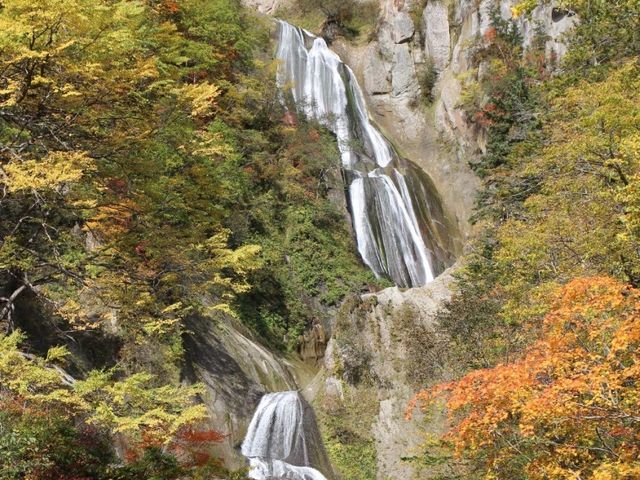 ���͖��__�H�߂̑�